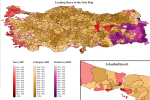 Turkish_Percent