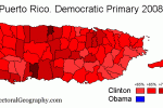 2008-puerto-rico-democratic.gif