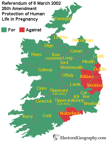ирландия референдум 2002 защита жизни