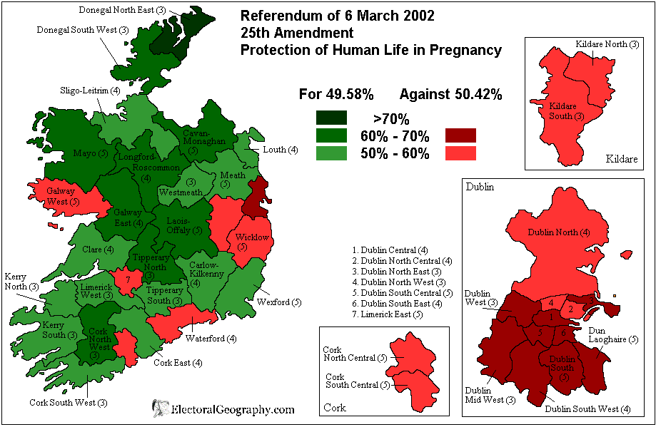 ирландия референдум 2002 защита жизни